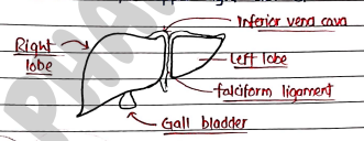 Screenshot 2026-02-24 204237