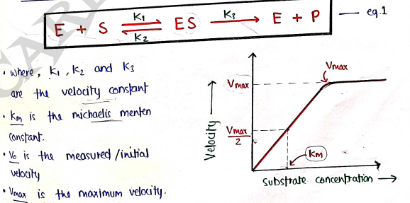 Screenshot 2026-03-10 125545