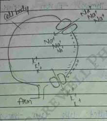 Screenshot 2026-02-23 203446