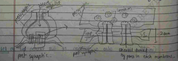 Screenshot 2026-02-23 203726