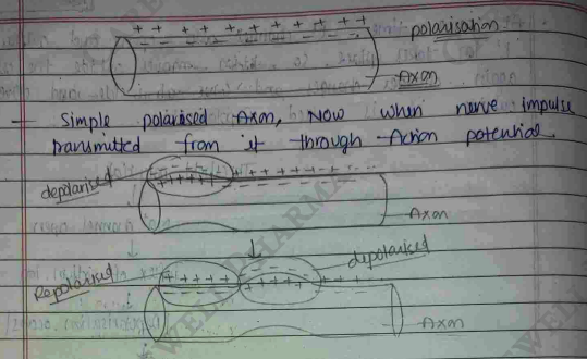 Screenshot 2026-02-23 203514