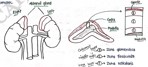 Screenshot 2026-03-07 231728