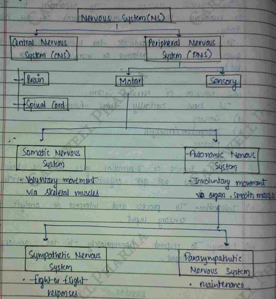 Screenshot 2026-02-23 202842