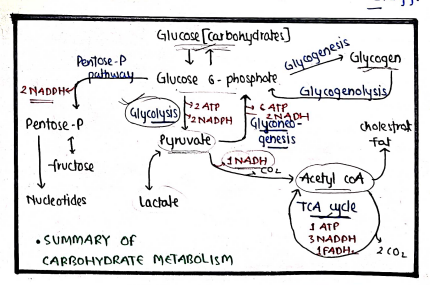 Screenshot 2026-03-09 135212