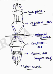 Screenshot 2026-04-06 111749