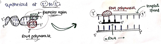 Screenshot 2026-03-10 105524