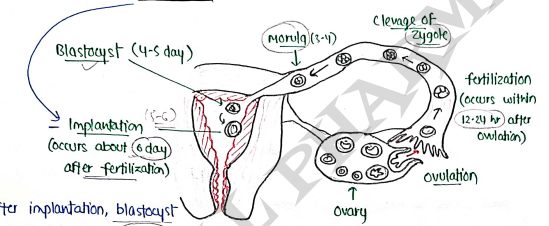 Screenshot 2026-03-08 151732