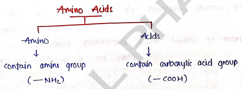 Screenshot 2026-03-08 191241