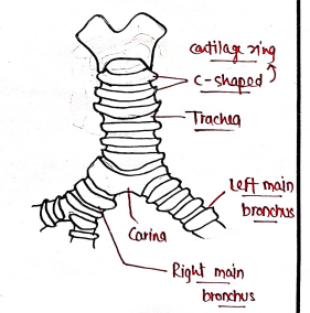 Screenshot 2026-02-25 193223