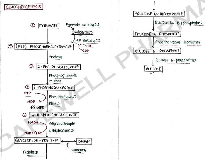 Screenshot 2026-03-09 135447