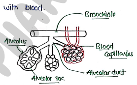 Screenshot 2026-02-25 193237