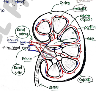 Screenshot 2026-02-25 193408