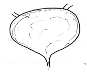 Screenshot 2026-02-25 193512