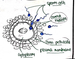 Screenshot 2026-03-08 151700