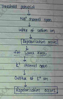 Screenshot 2026-02-23 203454