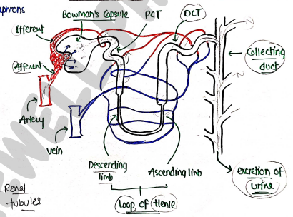 Screenshot 2026-02-25 193421