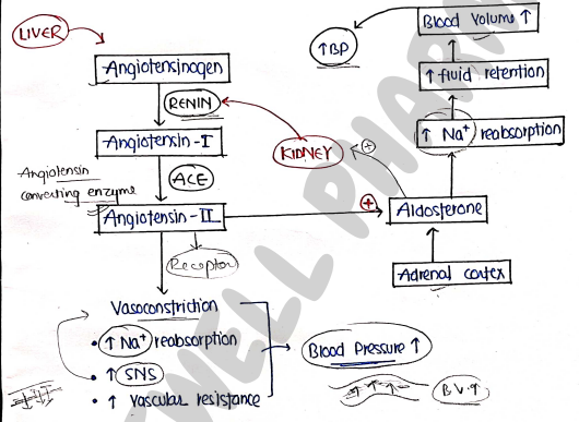 Screenshot 2026-02-25 193558