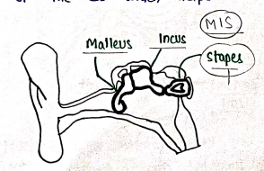 Screenshot 2026-02-10 150207