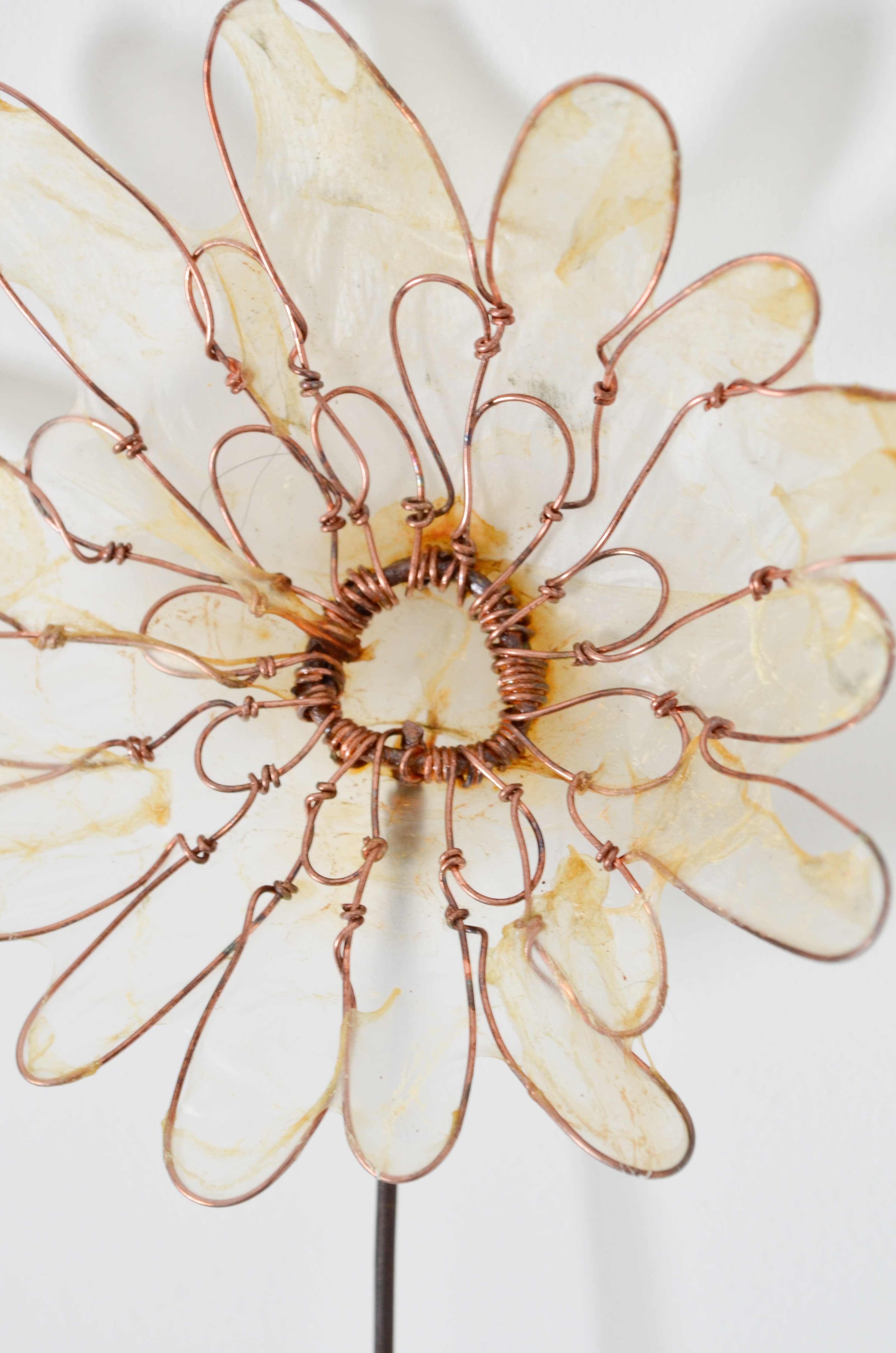 mixed media - upcycled fence, copper wire, & gut - 10.5"x5"