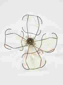 dogwood wallflower front view