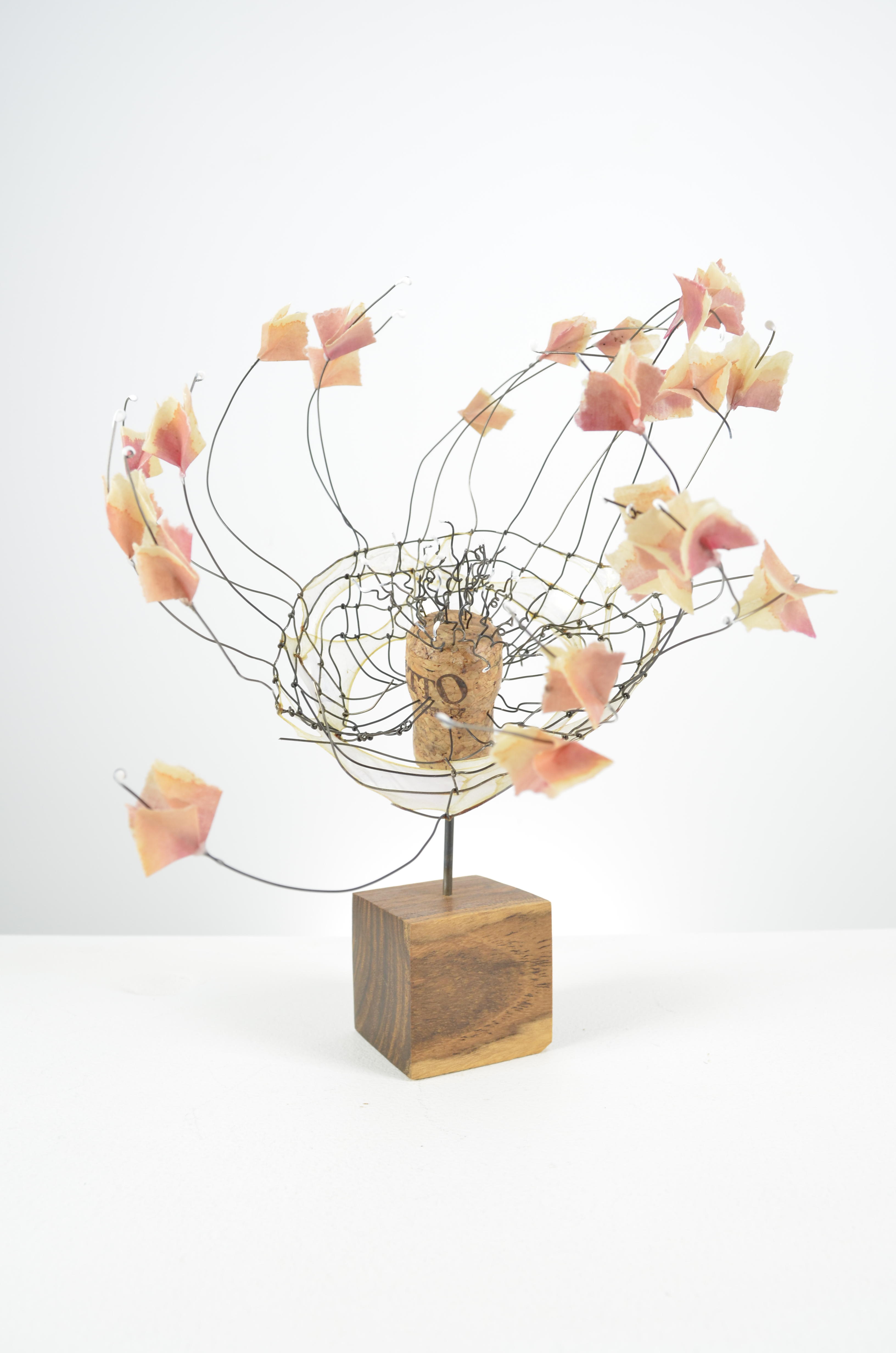 Hand woven and knotted cage of annealed steel with gut and water color surrounds a champagne cork with wire dipped in white encaustic.  The flower petals are folded mulberry paper & water color and it is all placed on a block of bocote wood.  10.5x9.5x9.5