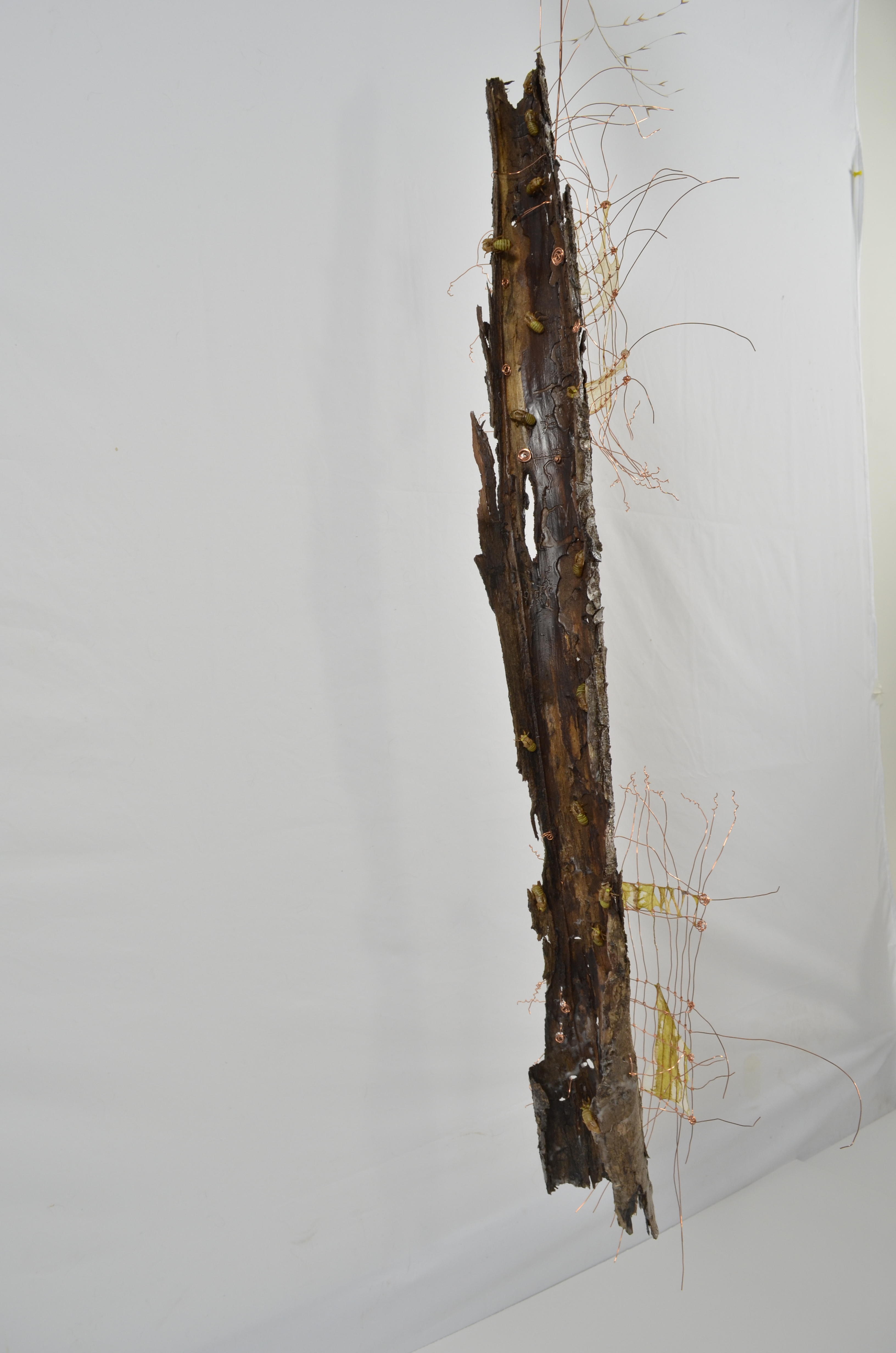 This tree is made of 3 sections with knotted wire sections of gut and wax and embellished with found ephemera and painted cicada bugs sealed in encaustic.  Each section represents a story and time in the life of this tree.