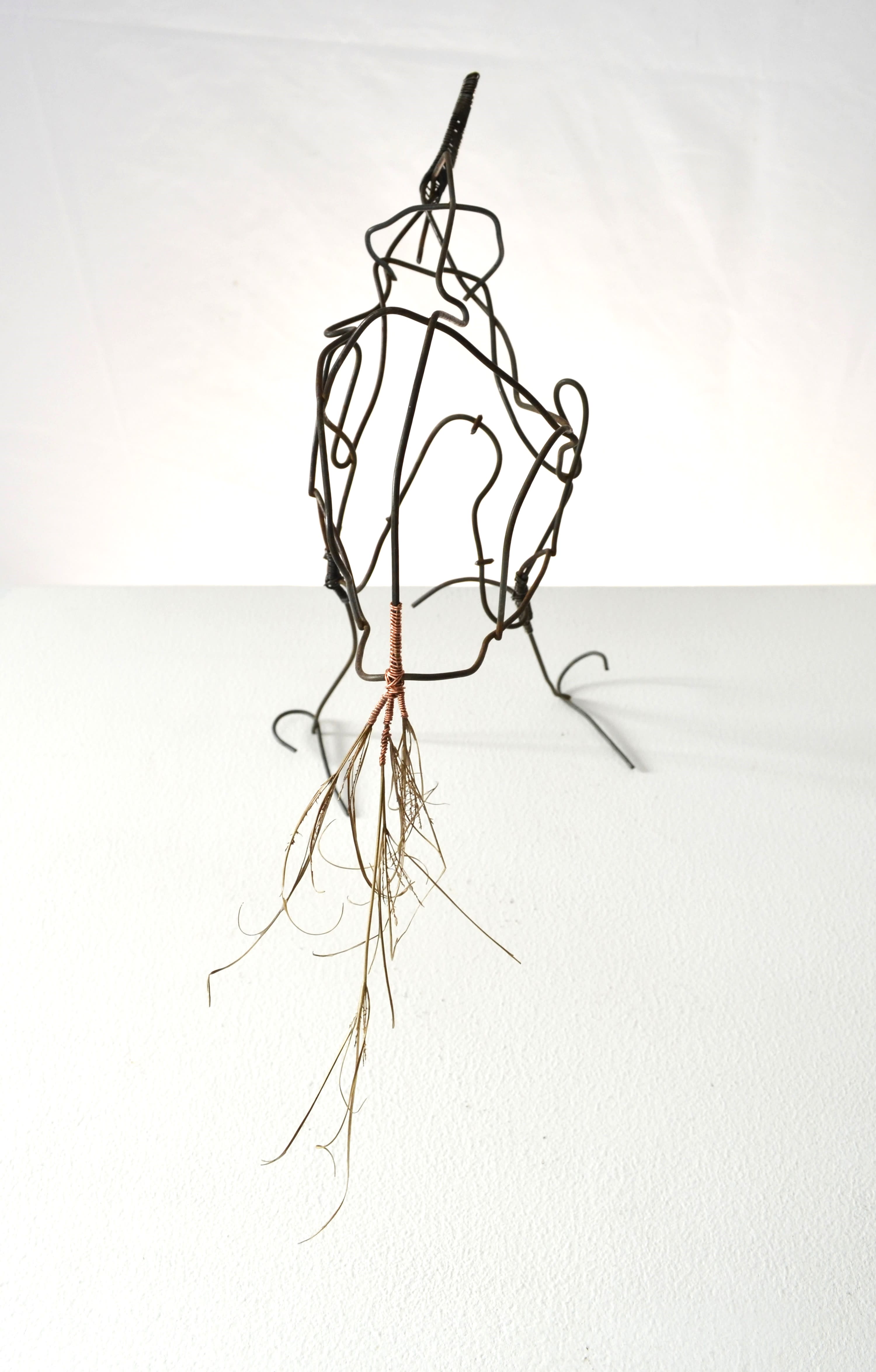 Toni is made of found fence, annealed steel wire, & several seed flowers sealed in encaustic.  The fence was manipulated to form the bird shape and enhance shadows when lit.  SOLD