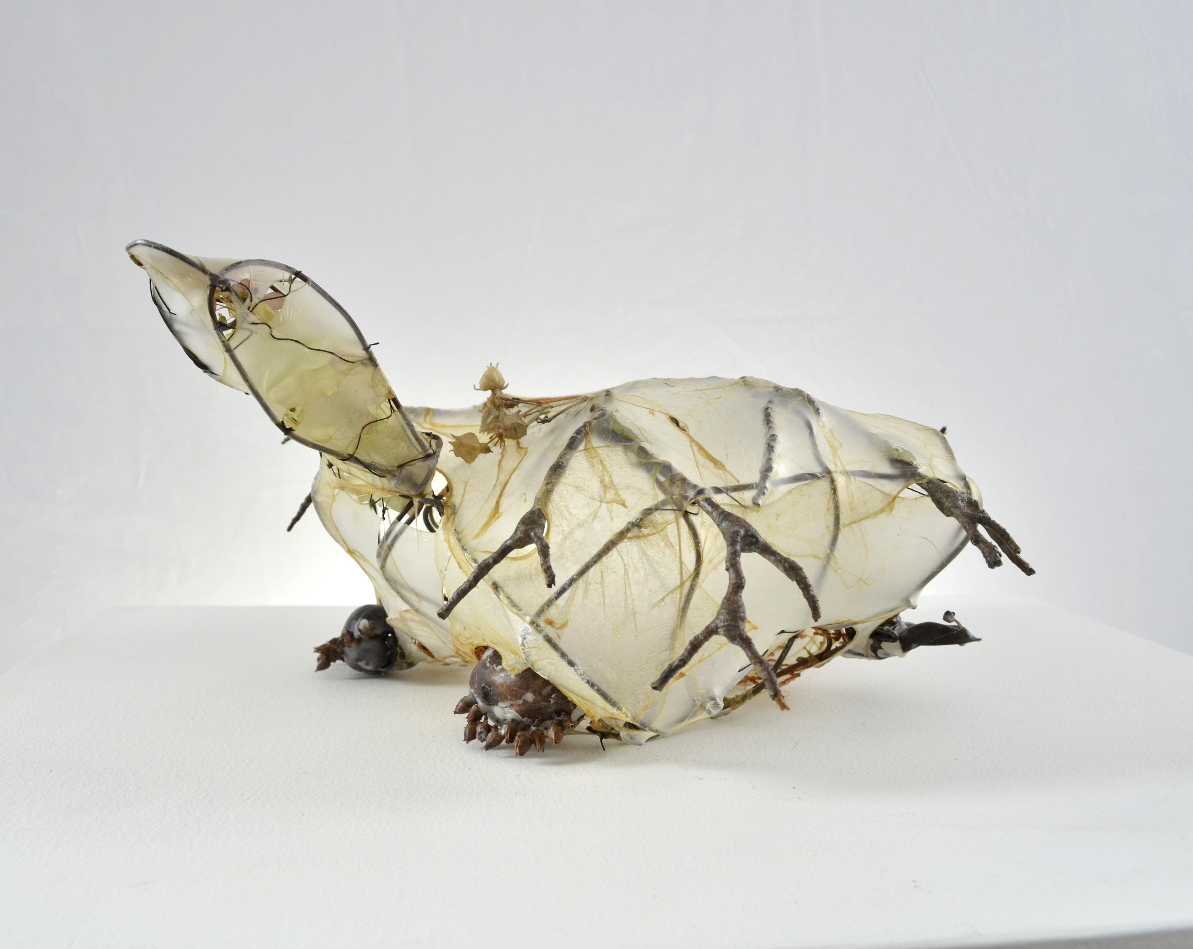 Tosia is a mother turtle made from a variety of found ephemera utilizing sculptural collaging and sewing techniques.  SOLD