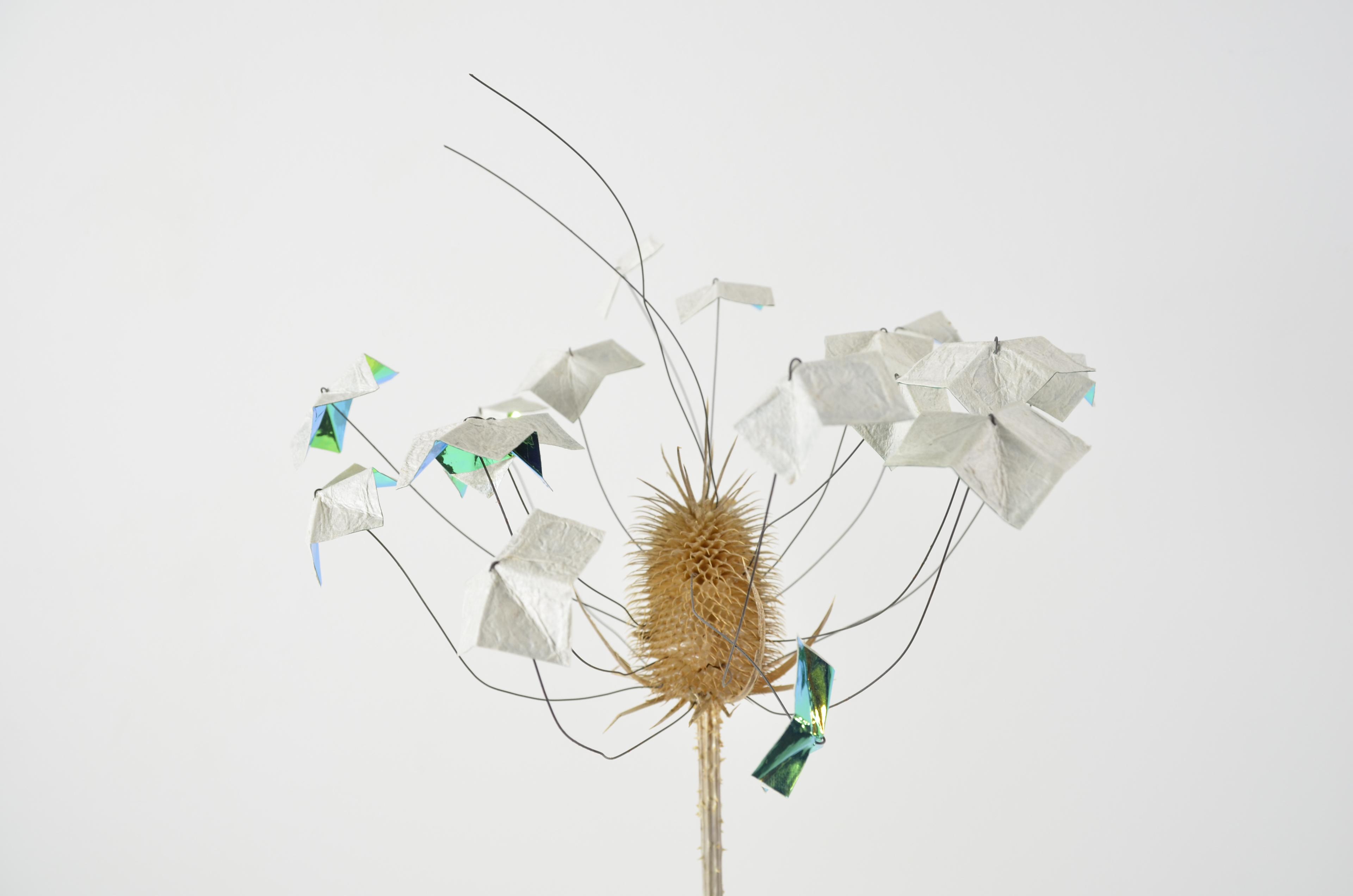 A dead flower sealed in encaustic with 2 specialty papers sits on a bocote wood base.