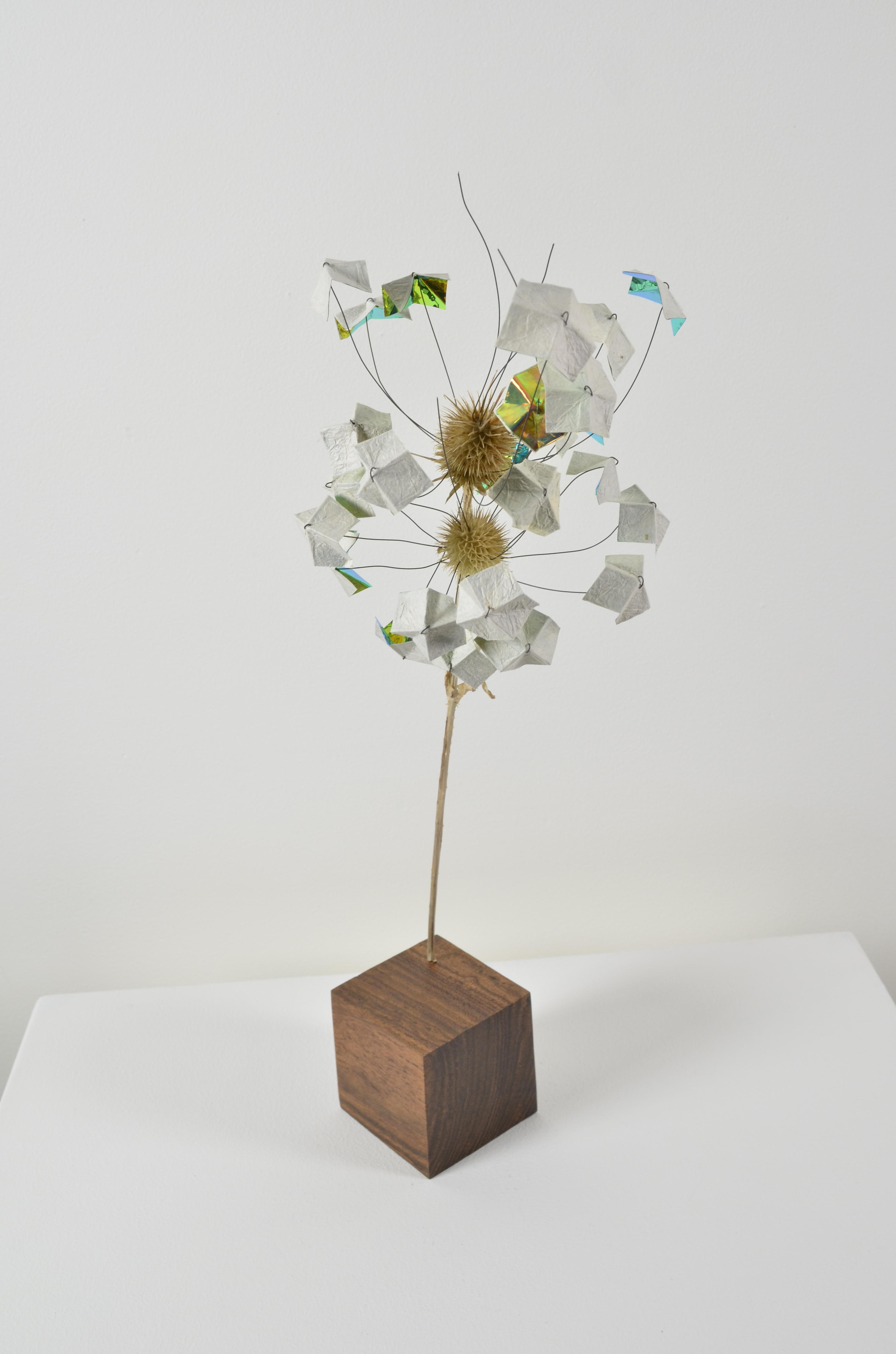 Dead flower sealed in encaustic has 2 flower heads, both with two different kinds of specialty paper.