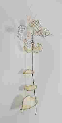 4 petal wallflower front view 