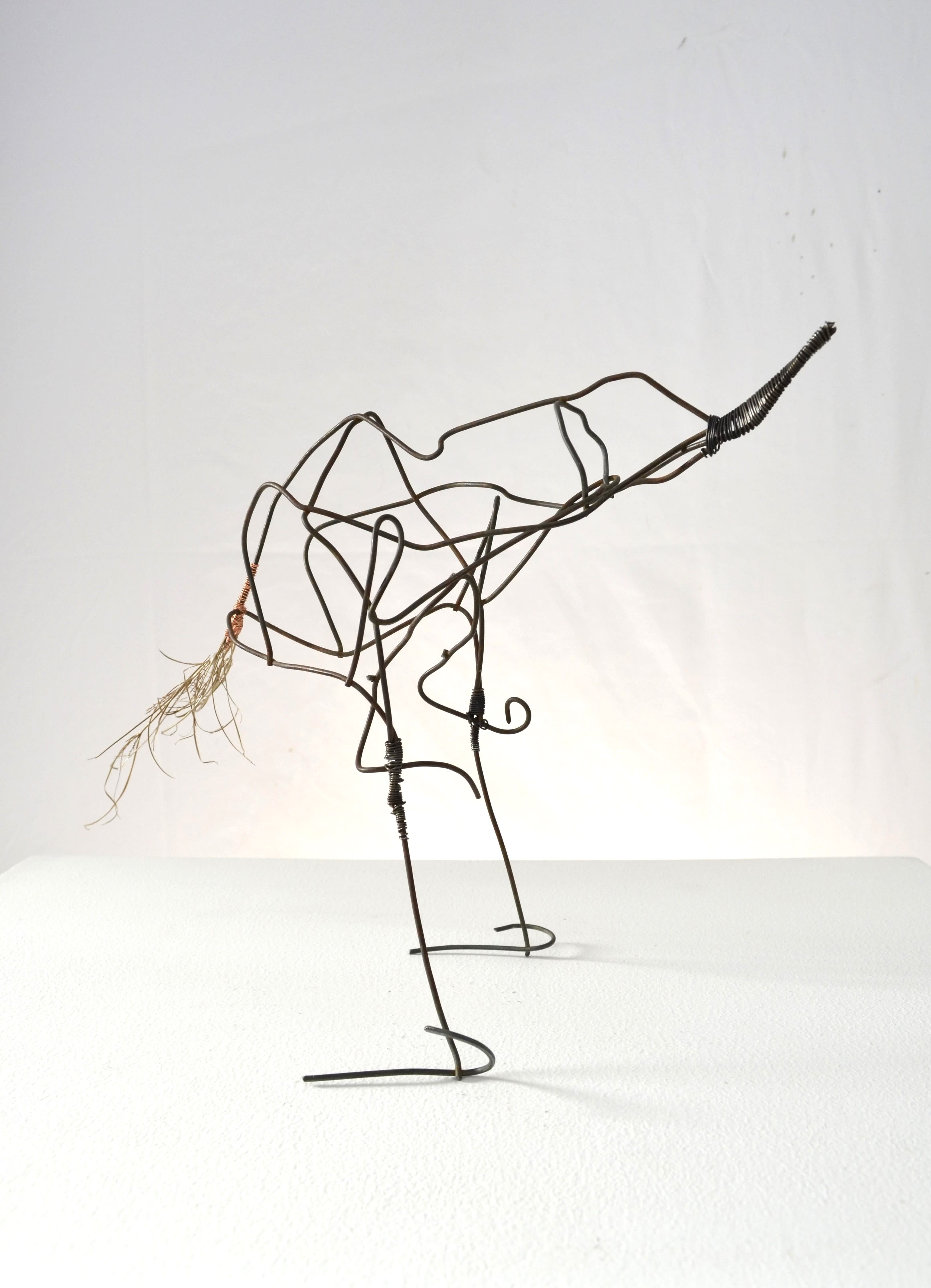Toni is made of found fence, annealed steel wire, & several seed flowers sealed in encaustic.  The fence was manipulated to form the bird shape and enhance shadows when lit.  SOLD