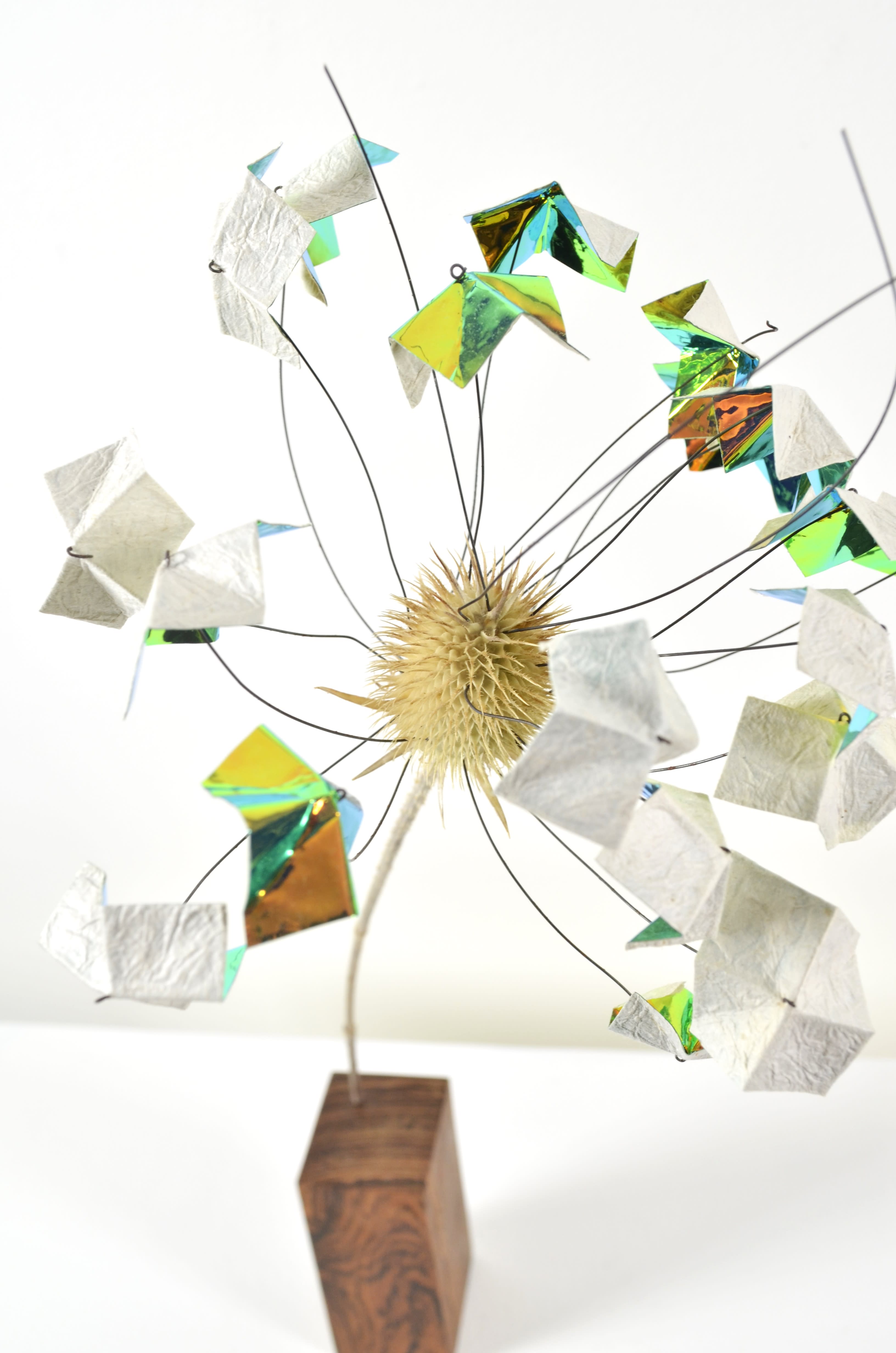 A dead flower sealed in encaustic with 2 specialty papers sits on a bocote wood base.