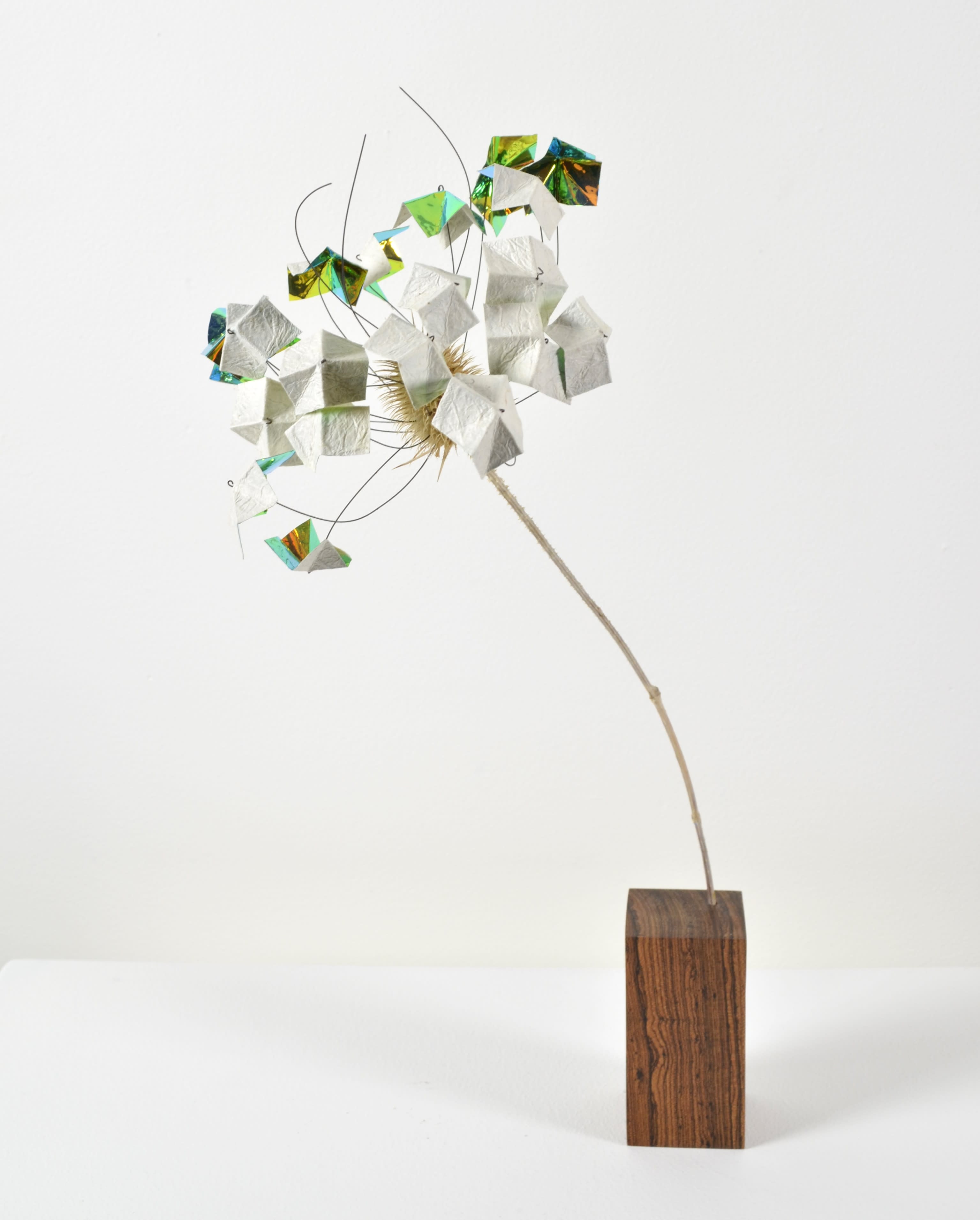 A dead flower sealed in encaustic with 2 specialty papers sits on a bocote wood base.
