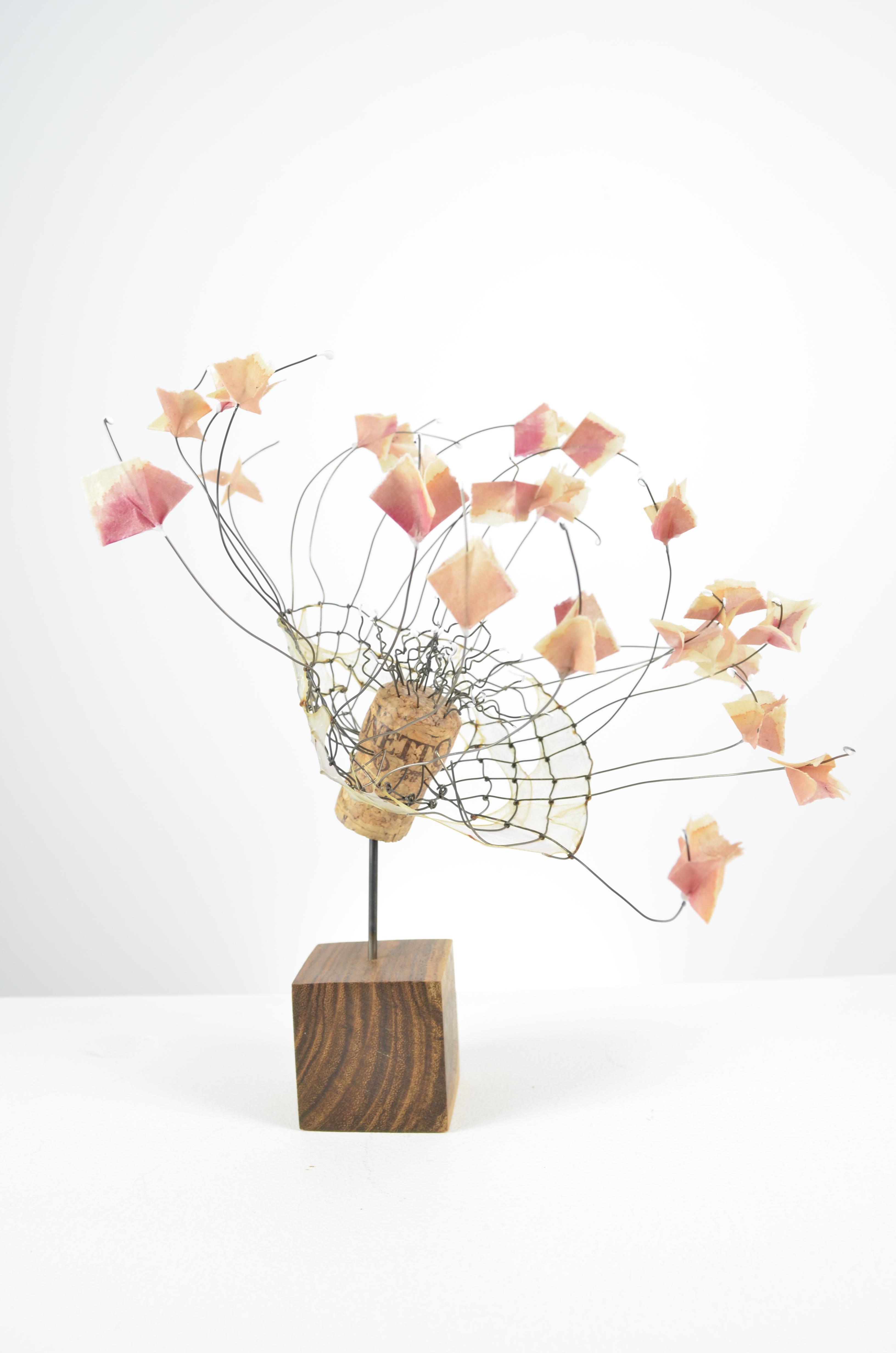 Hand woven and knotted cage of annealed steel with gut and water color surrounds a champagne cork with wire dipped in white encaustic.  The flower petals are folded mulberry paper & water color and it is all placed on a block of bocote wood.  10.5x9.5x9.5
