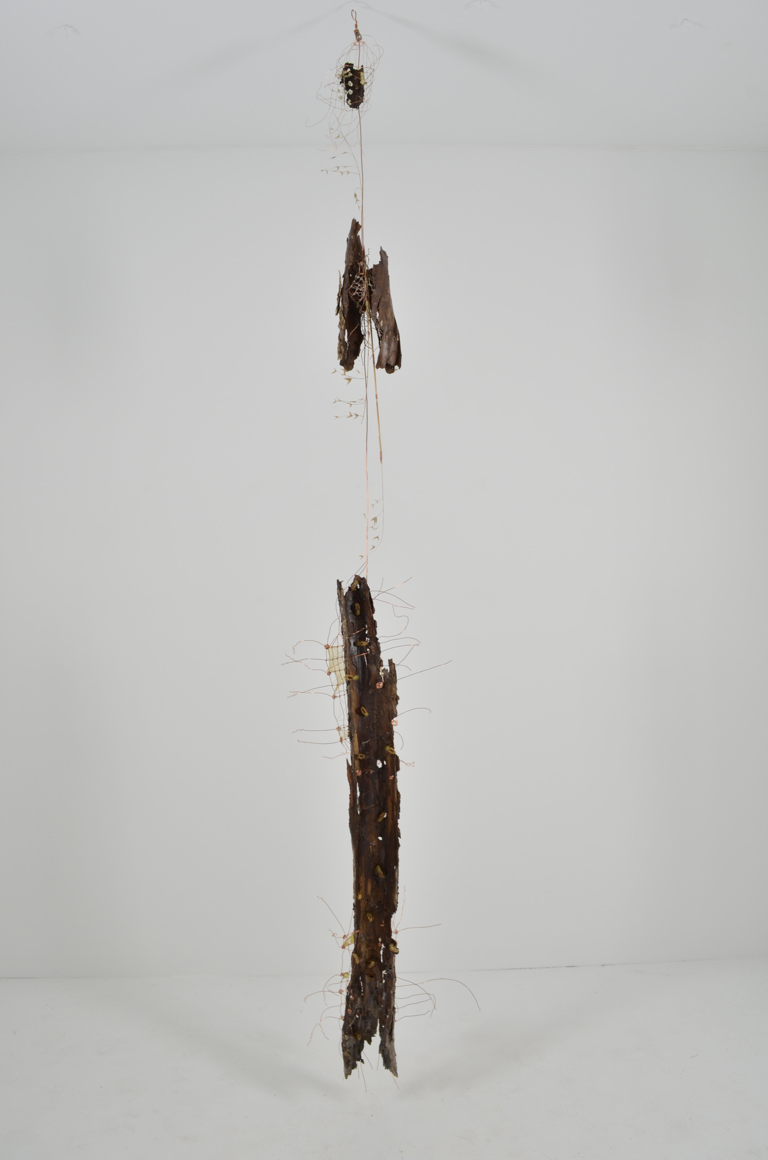 This tree is made of 3 sections with knotted wire sections of gut and wax and embellished with found ephemera and painted cicada bugs sealed in encaustic.  Each section represents a story and time in the life of this tree.