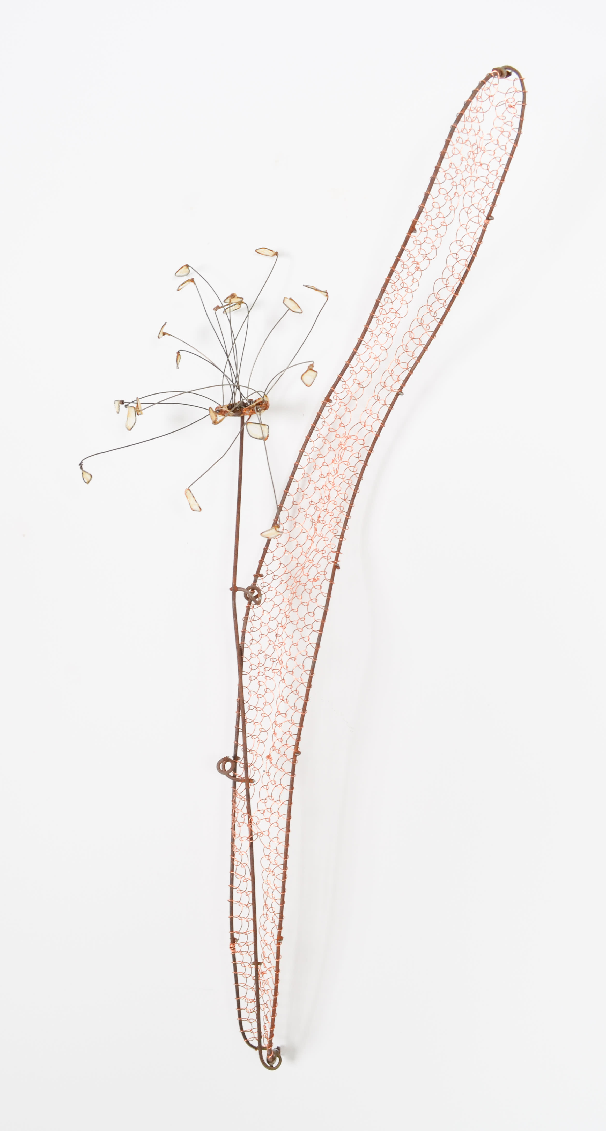 mixed media - looped copper wire, steel wire, upcycled fence,  & gut - 21"x8"x4"