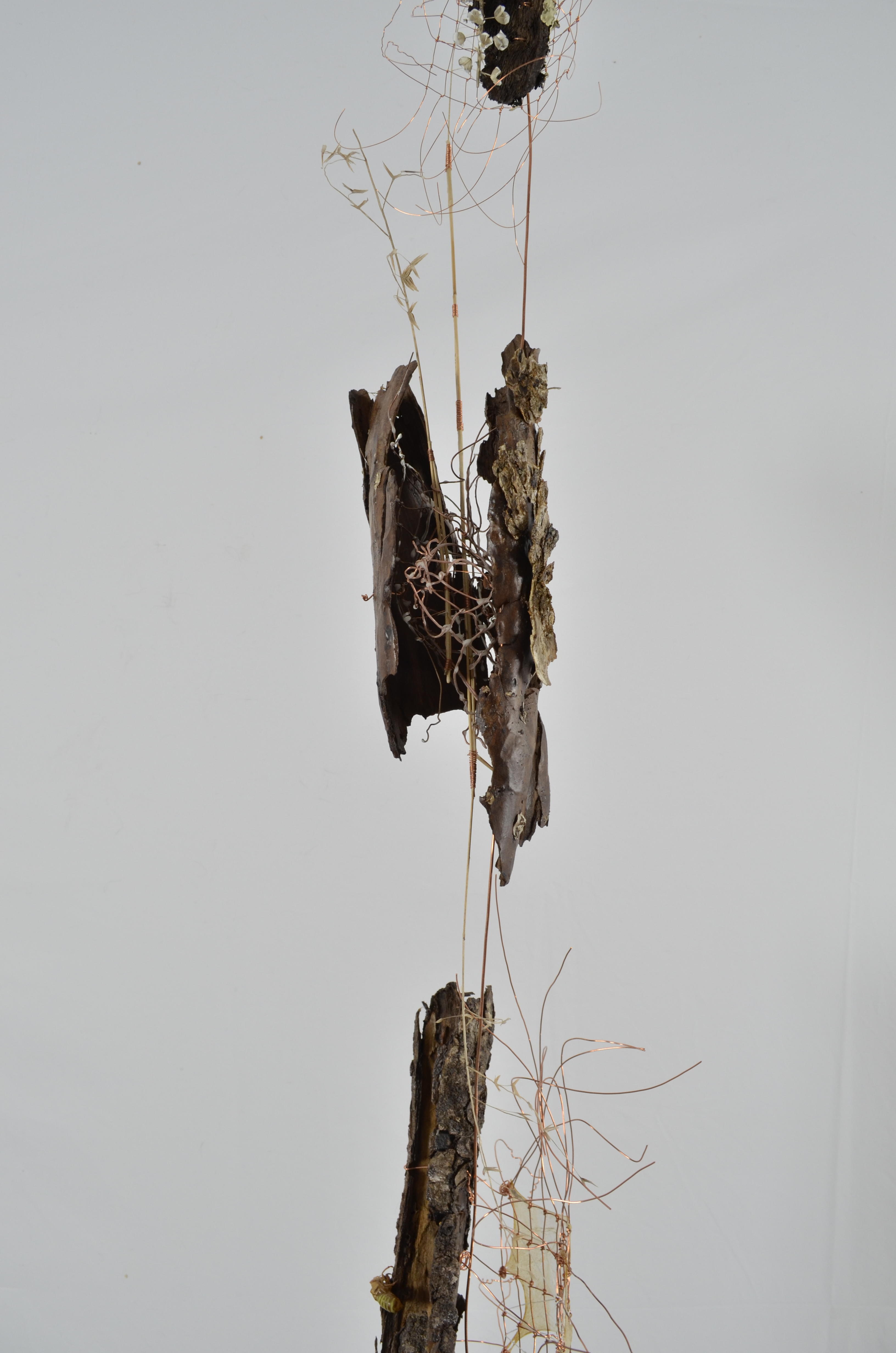 This tree is made of 3 sections with knotted wire sections of gut and wax and embellished with found ephemera and painted cicada bugs sealed in encaustic.  Each section represents a story and time in the life of this tree.