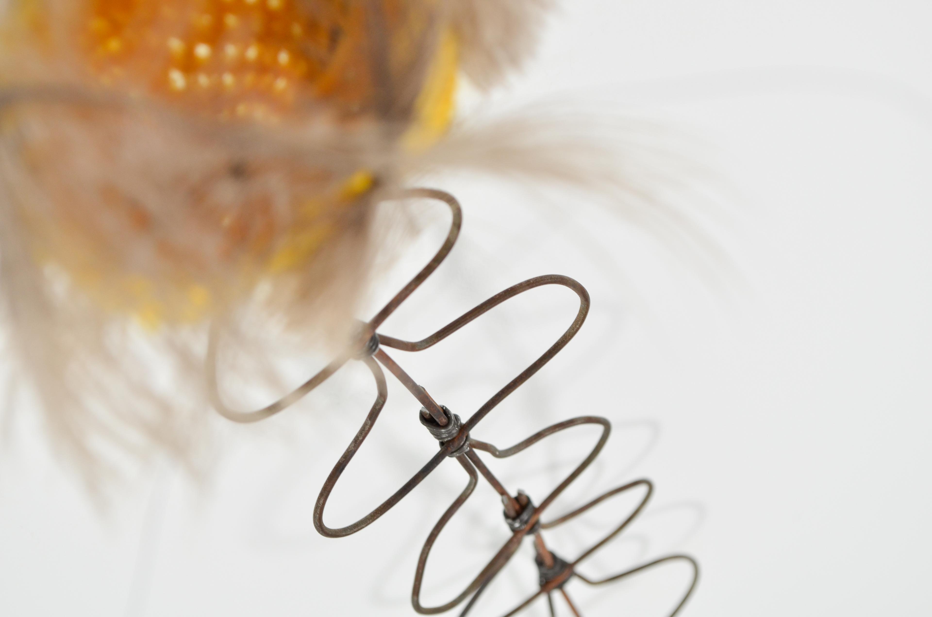 mixed media - sprang wool, upcycled fence, horse hair, ostrich feathers, & annealed steel - 15"x4"