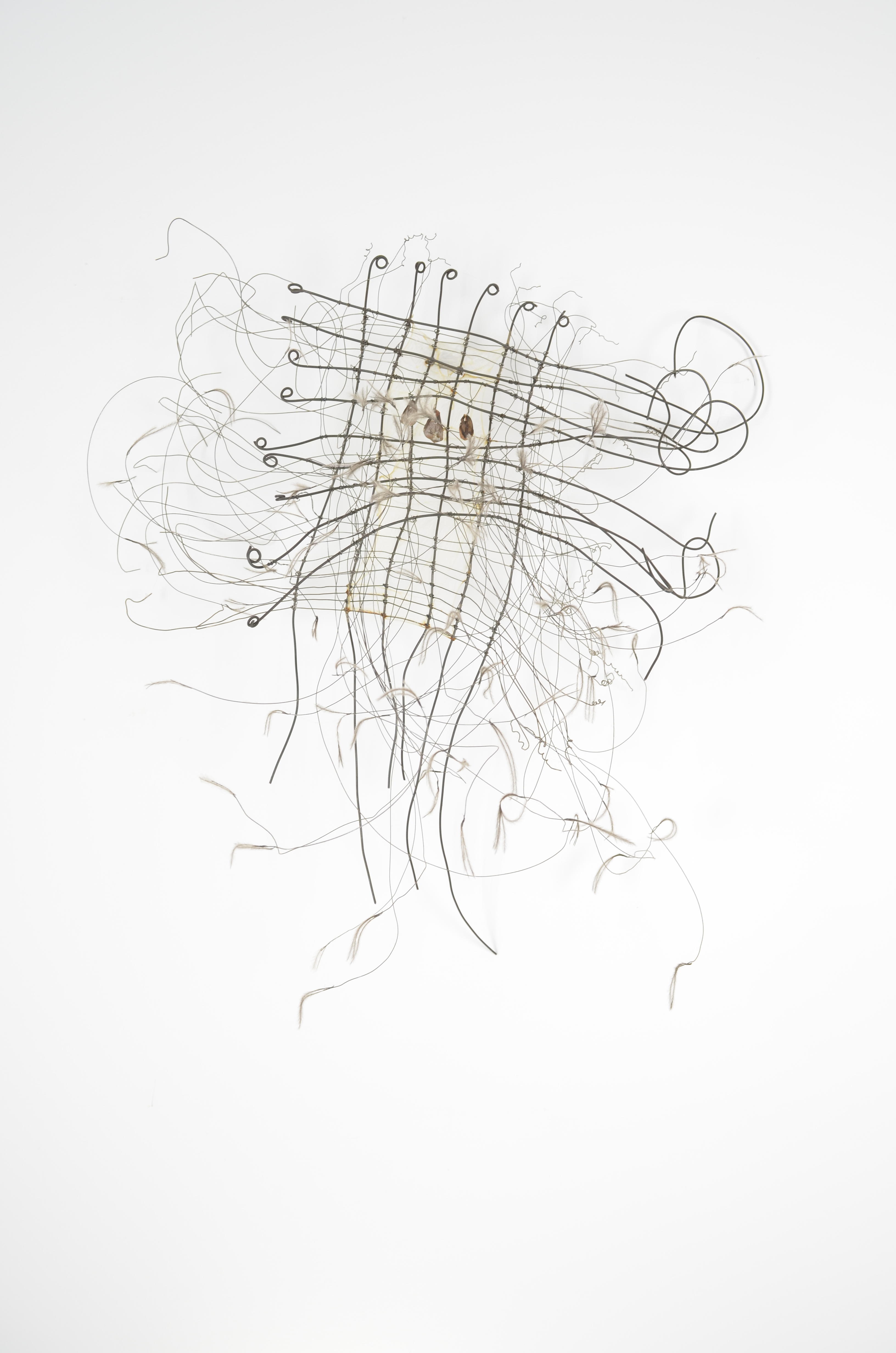 Raven is several layers of annealed steel woven and knotted with gut, pine cone petals, & pieces of feathers. 22X16X7