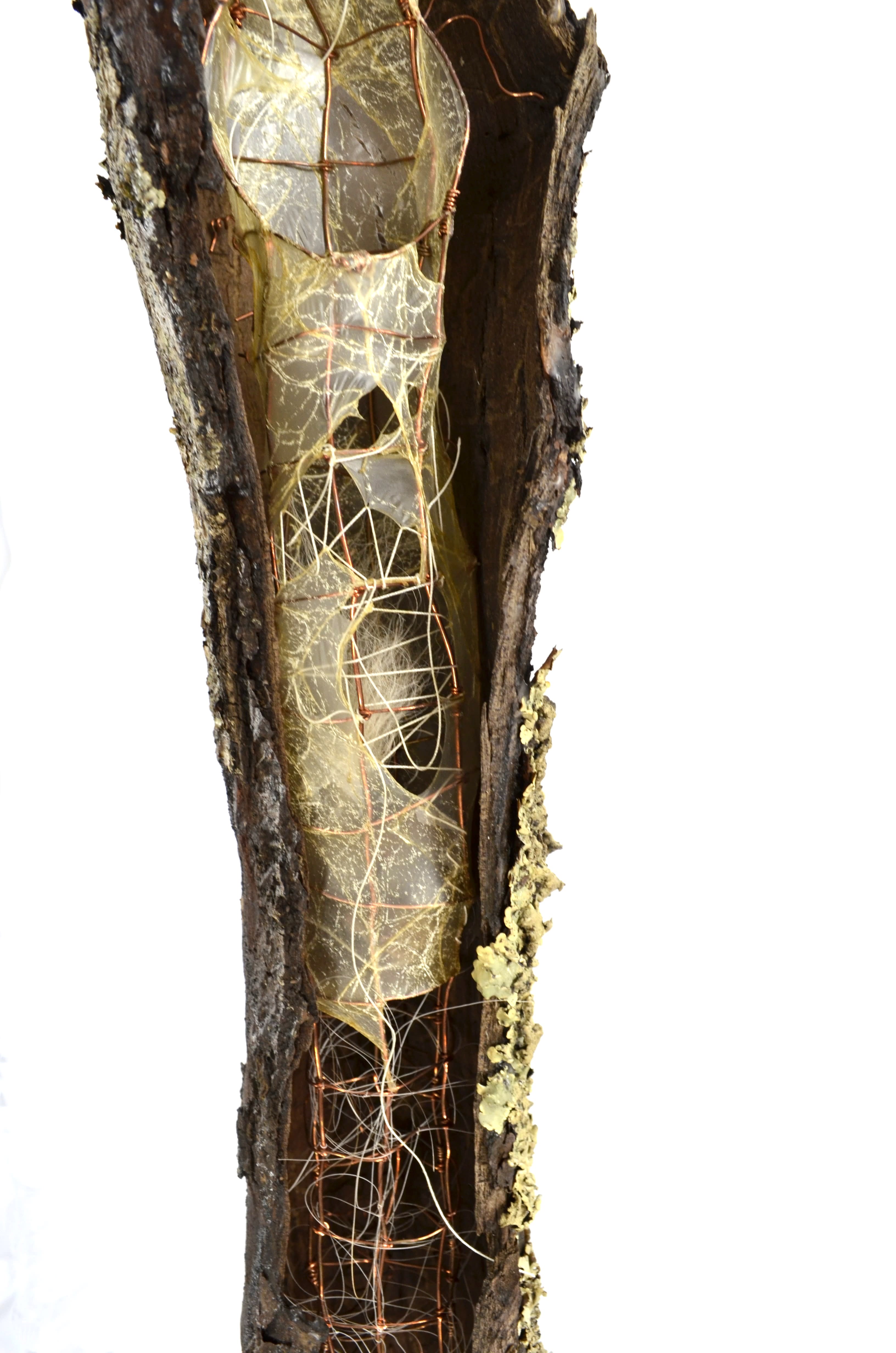 Squirrel Home is a large section of bark from a single branch sealed with encaustic.  In addition, a double layer of hand knotted copper wire with gut and thread, a found gate hinge, & squirrels made of wire, gut & deer fur. 75”x33”x20” 