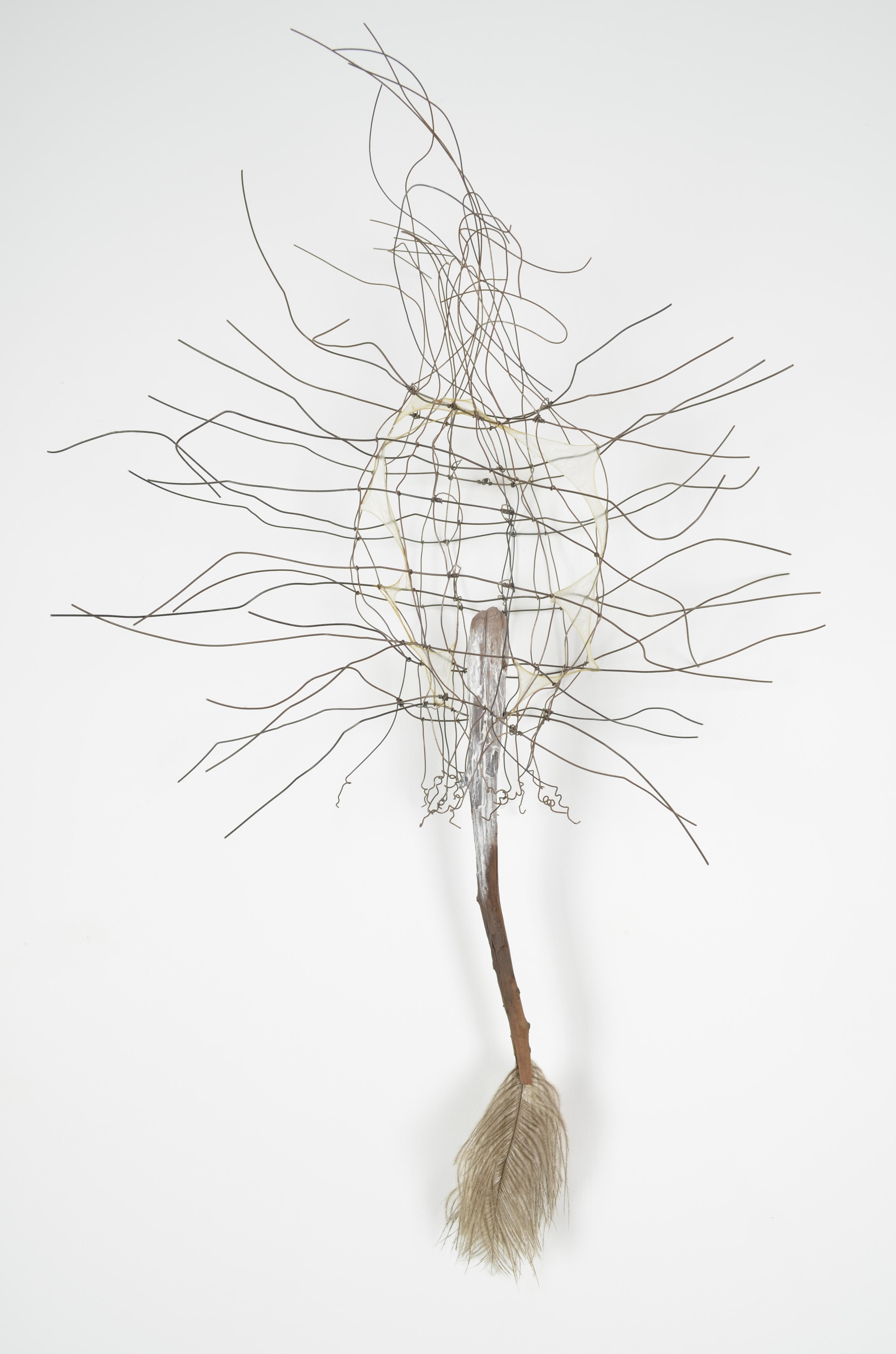 Bernie started with a found feather and found cedar branch.  The cedar branch is sealed in encaustic with the tip of some white encaustic.  The wire body is 3 layers of woven knotted annealed steel and gut.  22X16X7