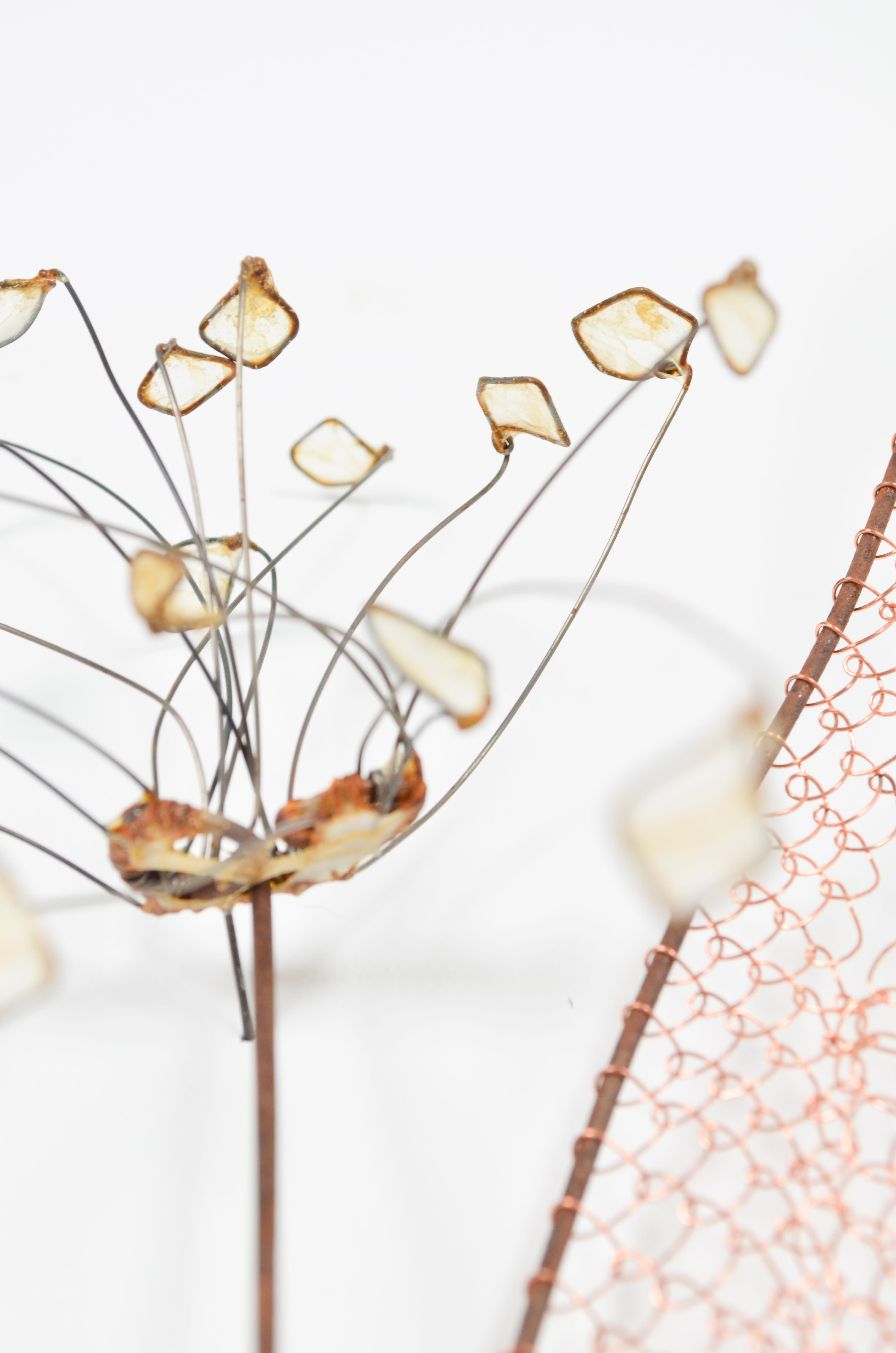 mixed media - looped copper wire, steel wire, upcycled fence,  & gut - 21"x8"x4"