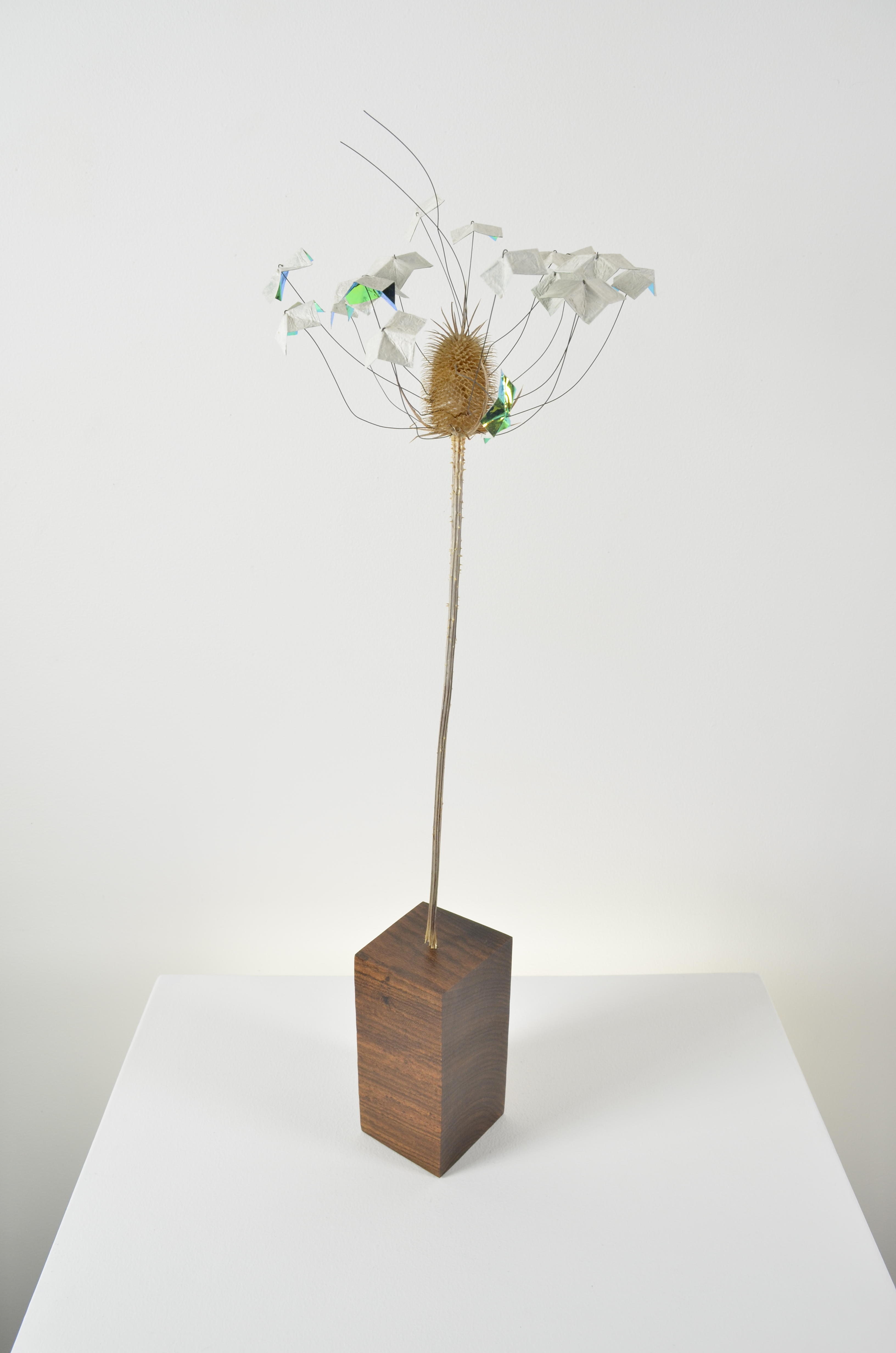 A dead flower sealed in encaustic with 2 specialty papers sits on a bocote wood base.