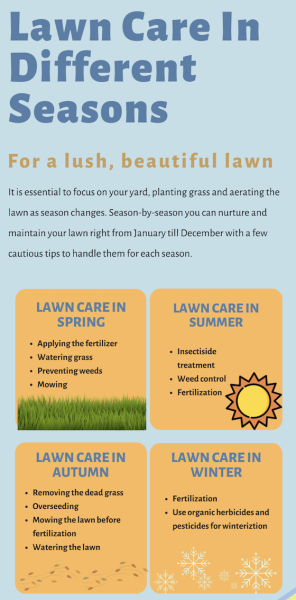 Lawn Care in Different Seasons