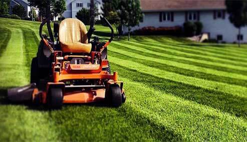 Lawn mowing in autumn