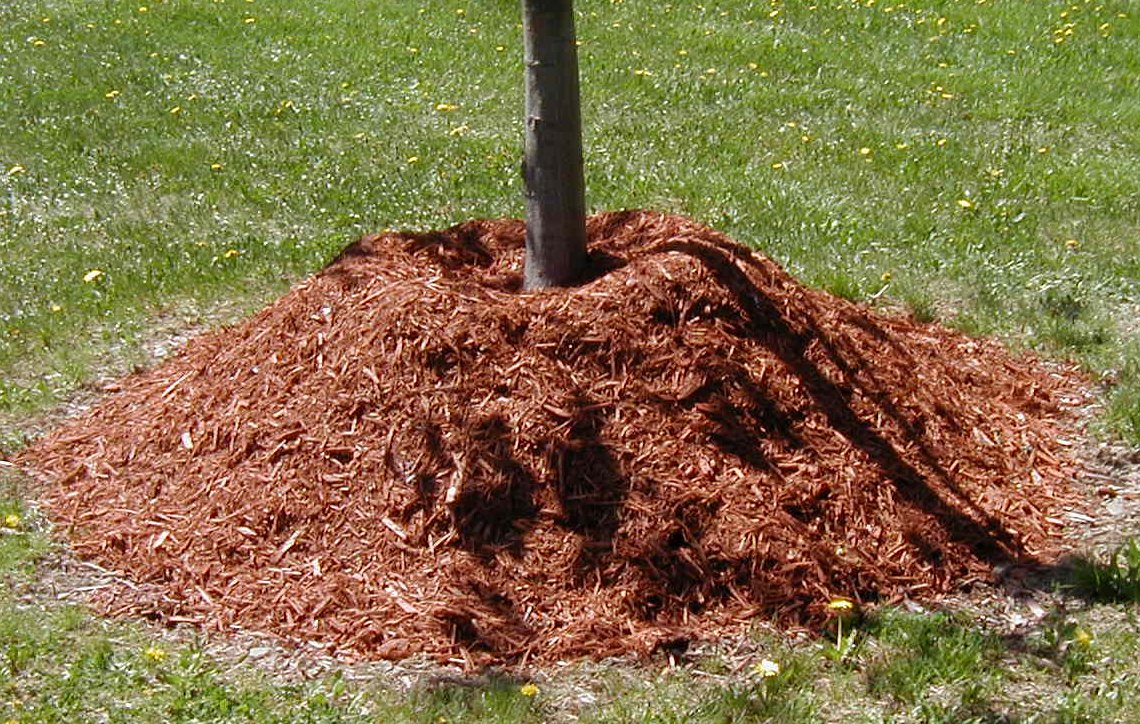 Mulch Matters in Organic Weed Control