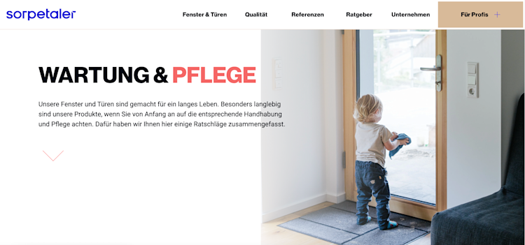 Screenshot Wartung-Pflege