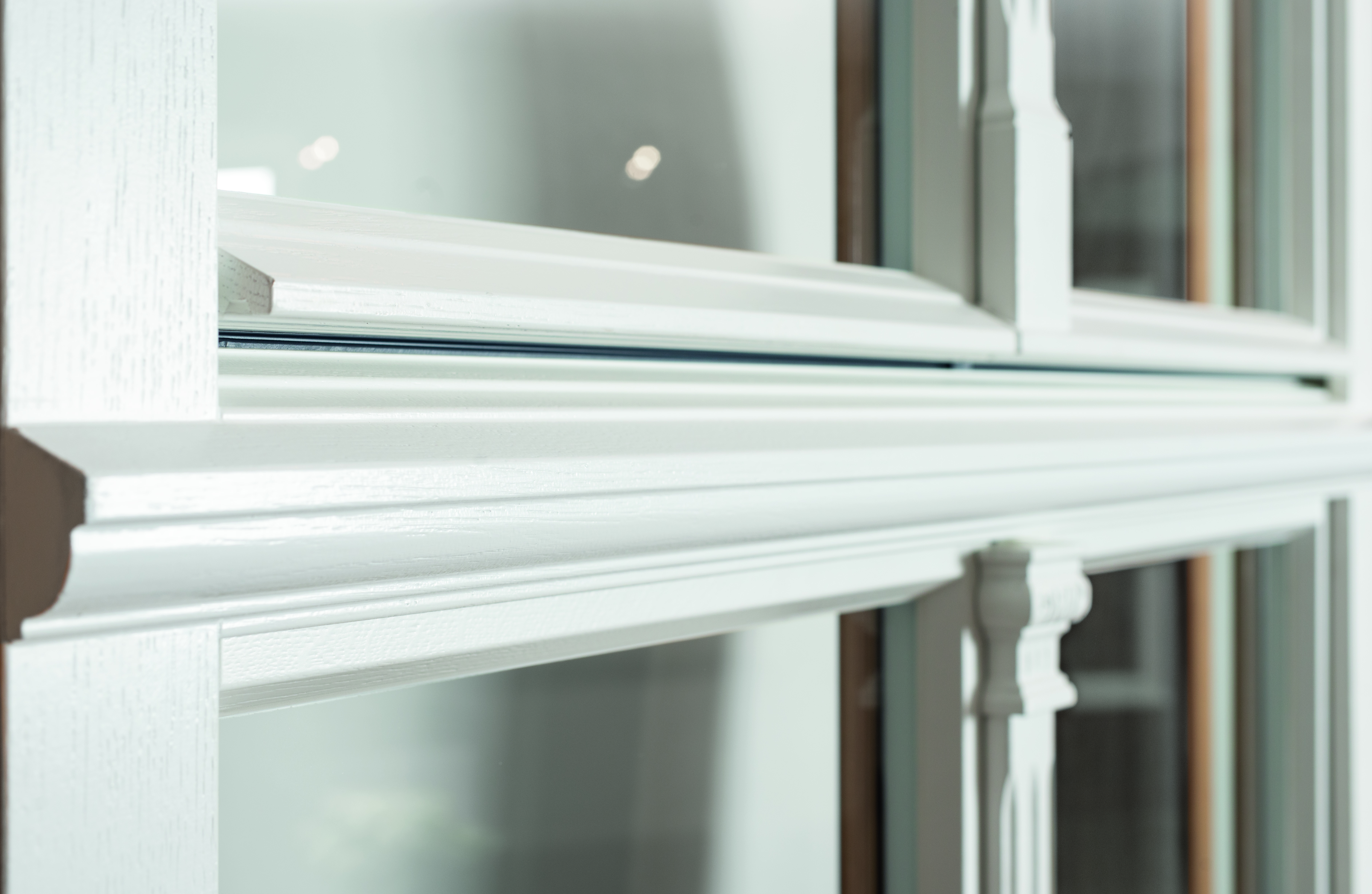 Sorpetaler Gracil-11