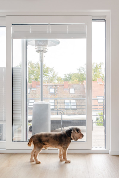 Sorpetaler-Hebeschiebetuer-003 moderne-Terrassentueren